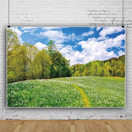 Vista 3 de Telón de fondo de campo de granja para fotografía, 5 x 3 pies, paisaje de primavera y verano, prado verde, cielo, nubes, fondo de fotos, fiesta