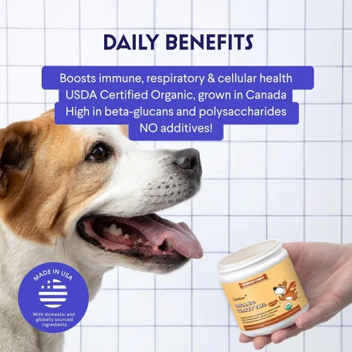 Vista 4 de Wonder Paws Hongo orgánico de cola de pavo para perros, potente cola de pavo para perros, polvo de hongos para inmunidad, respiratorio, digestión