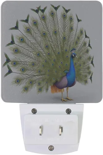 Vista 2 de Lámpara LED de luz nocturna enchufable con impresión de pavo real azul con sensor de atardecer a amanecer para dormitorio, baño, pasillo, escaleras