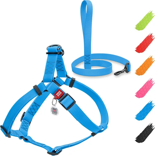 Vista 18 de WAUDOG Juego de arnés y correa impermeable para perro de 6 pies, ajustable, resistente con cierre de metal duradero y placa QR para perro