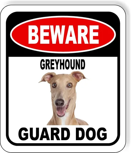 Vista 72 de BEWARE BASSETT HOUND GUARD DOG - Letrero compuesto de aluminio para exteriores, 8.5 x 10 pulgadas CUIDADO BASSETT HOUND GUARD PERRO