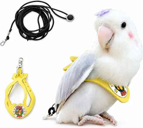 Vista 28 de Juego de arnés ajustable y correa para pájaros pequeños, apto para periquitos, conures, cacatúas, mejillas verdes, loros cuáqueros (verde, XS) 6350-6