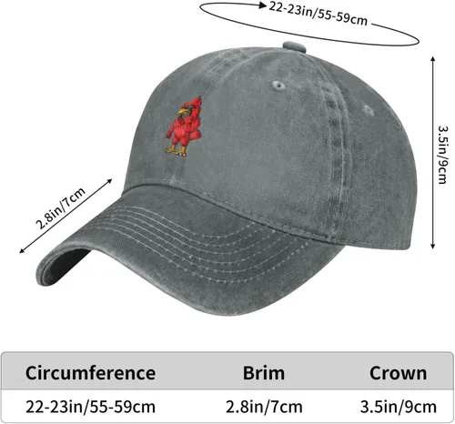 Vista 6 de Gorra de béisbol Angry Red Bird para hombres y mujeres, sombrero de vaquero vintage para adultos, Gris