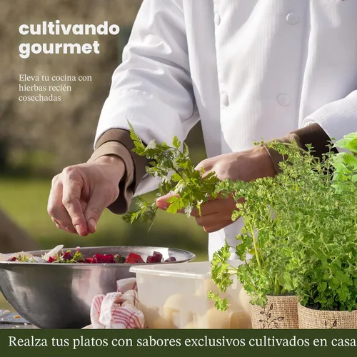 Vista 6 de Kit de jardín para ventana interior de 9 hierbas, semillas de plantas de interior, regalos de cumpleaños Best Unique Gift Ideas for Women, Mom