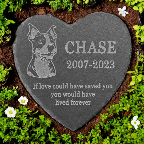 Vista 29 de Memorial personalizado de American Staffordshire Terrier, lápida de American Staffordshire Terrier, condolencias por pérdida de American