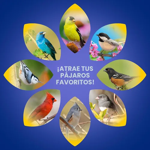 Vista 6 de Audubon Park Extreme Variety - Semillas de aves silvestres para comederos exteriores, bolsa de 15 libras Mezcla prémium con semillas de girasol