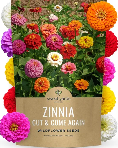 Vista 11 de Zinnia Cut & Come Again Mix - Paquete grande de 1 onza - 4,000 semillas de flores para plantar - Zinnia elegans