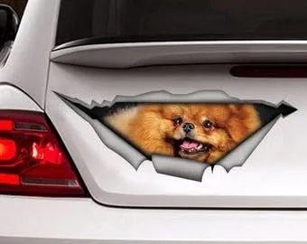Vista 12 de Calcomanía roja de perro salchicha de pelo largo, calcomanía para mascotas, calcomanía de perro salchicha rojo, calcomanía de vinilo para perro