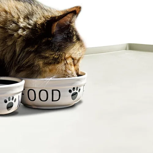 Vista 6 de Mantel individual de silicona para cuencos para comer para perros y gatos, impermeable, antideslizante. Tamaño: (18.5 x 11.5 pulgadas) borde elevado