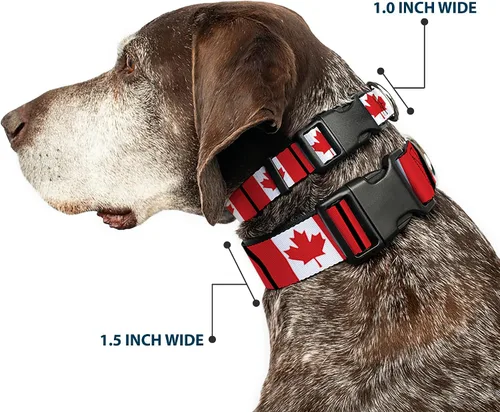 Vista 2 de Buckle-Down PC-W30367-S - Collar de clip de plástico para banderas de Canadá, pequeño/9-15