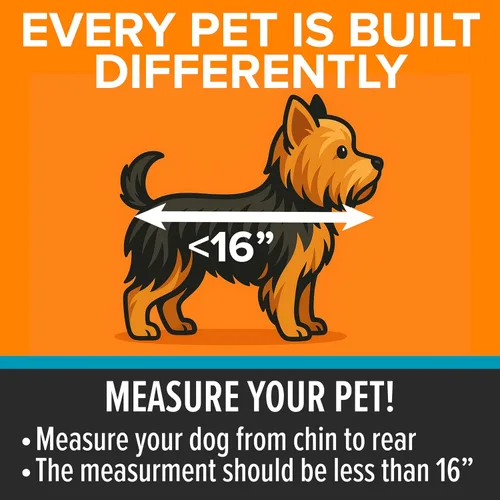 Vista 4 de K&H Buckle N Go - Asiento de automóvil para perros pequeños, tela impermeable, laterales de malla transpirable, correa de cinturón de seguridad