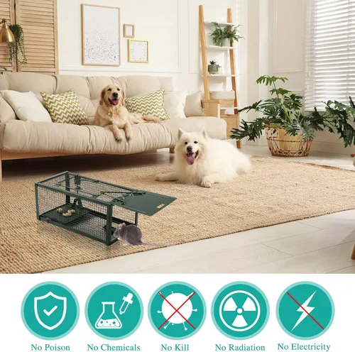 Vista 4 de Qualirey Trampa para ratas vivas, 2 unidades, trampa humana para ratones, ratones, jaula para animales pequeños, para interiores y exteriores, Verde