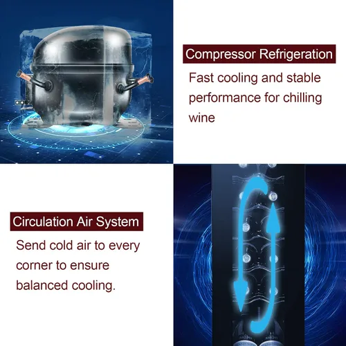 Vista 6 de Winado Refrigerador de vino con compresor de 12 botellas con temperatura ajustable, mini refrigerador de vino compacto independiente con control