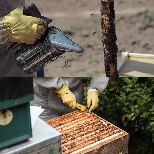 Vista 5 de Honey Lake Suministros de apicultura Kit de iniciación para ahumadores de abejas, 16 piezas, kit de iniciación de mantenimiento de abejas, todo