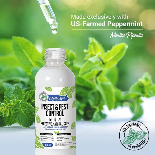 Vista 4 de Aceite de menta para control de insectos y plagas de 8 oz - Spray natural para arañas, hormigas y más (2)