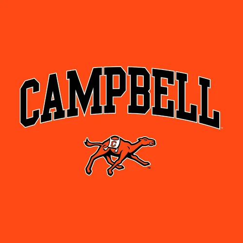 Vista 195 de NCAA Arch Logo, camiseta juvenil color del equipo, universidad - universidad