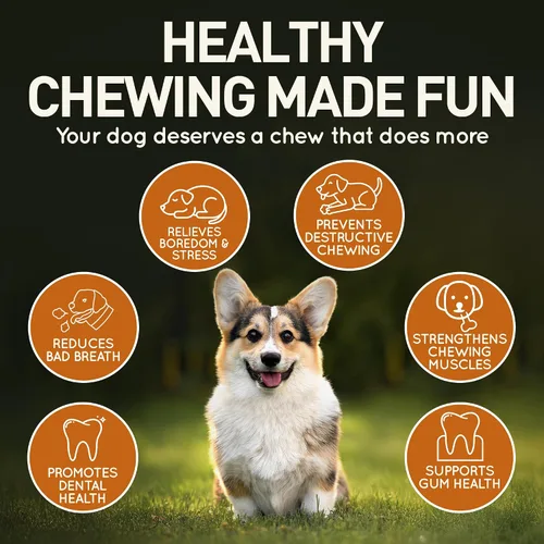 Vista 5 de Wildfang® Palitos masticables de madera de olivo para perros, pequeños, juguetes masticables resistentes para masticadores agresivos, juguetes