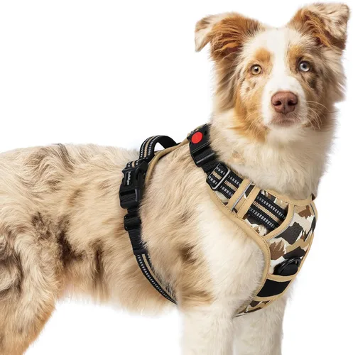 Vista 46 de Rabbitgoo - Arnés para perro de tamaño pequeño, arnés para mascotas sin tirones con 3 hebillas, chaleco acolchado suave ajustable con mango