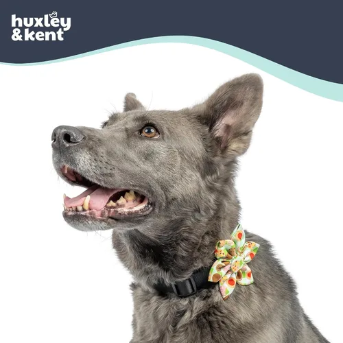 Vista 4 de Huxley & Kent Lazo de collar de molinete para perros y gatos, monstruo de galletas, pequeño