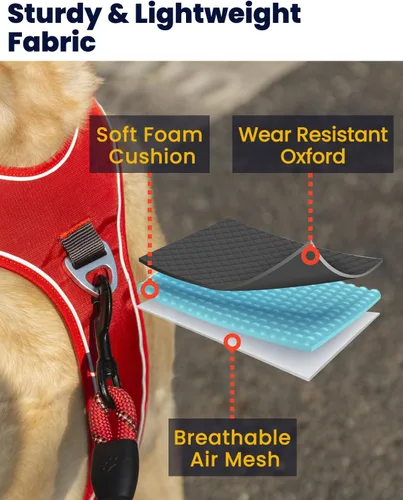 Vista 4 de Arnés para perro sin tirones con 2 clips para correa, chaleco reflectante, ajustable y acolchado, clips delanteros y traseros fáciles de caminar