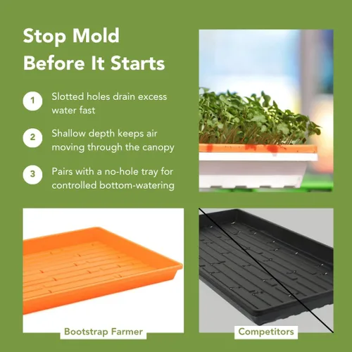 Vista 8 de Bootstrap Farmer - Bandejas Microgreen 1020, paquete de 5 bandejas de semillas extra resistentes y poco profundas con orificios - Cultivo