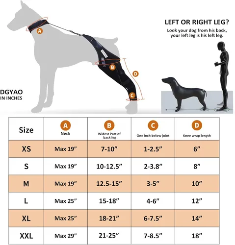 Vista 6 de Rodillera para perro para ACL, dislocación de la rodilla, artritis, envoltura completa, fácil ajustable, soporte adicional, reduce el dolor