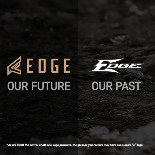 Vista 4 de Edge DZ113VS-G2 Zorge G2 - Gafas de seguridad envolventes antiempañamiento y protección contra vapor, antiarañazos, antideslizantes, UV 400, grado