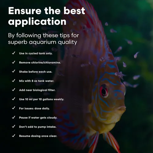 Vista 6 de Brightwell Aquatics FlorinBacter Clean (seguro para camarones), mezcla única de cultivo y enzimas de agua dulce diseñada para apuntar y limpiar