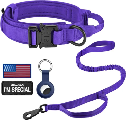 Vista 29 de DAGANXI - Collar táctico para perro, collar ajustable de nailon para adiestramiento con asa de control y hebilla, para perros medianos y grandes