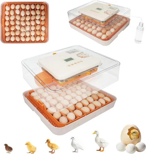 Vista 12 de Nest I - Incubadora de 12 huevos para principiantes, giro automático de huevos, humedad constante con botella de agua de recarga automática