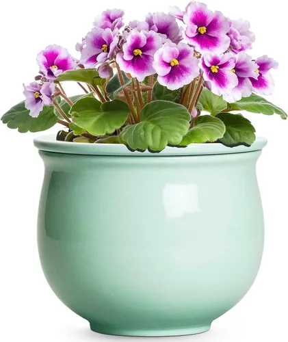 Vista 17 de Macetas de riego automático de 6 pulgadas para plantas de interior, macetas de cerámica violeta africana con maceta interior absorbente, maceta