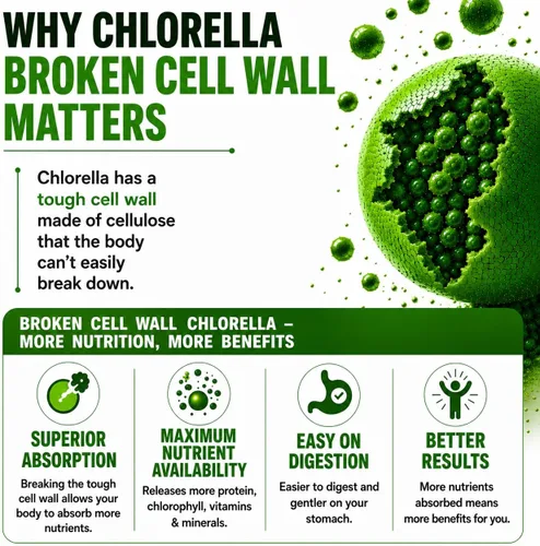 Vista 4 de Chlorella Cápsulas 3000 mg – Pared celular agrietada suplemento de algas verdes azules – La mejor limpieza natural de desintoxicación – Vitaminas