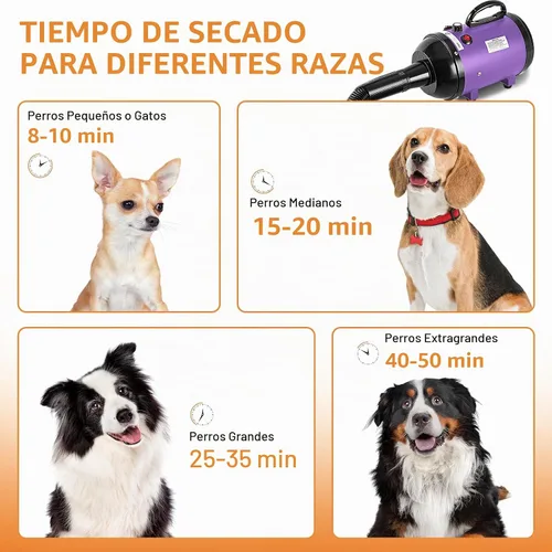 Vista 7 de NESTROAD - Secador de pelo para perros para peluquería de mascotas, 4.3HP Púrpura