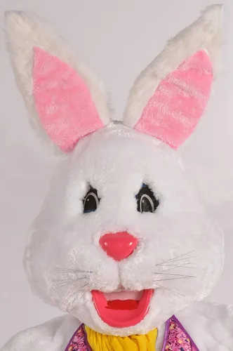 Vista 2 de Rubie's Costume Co - Disfraz de conejo de mascota para hombre