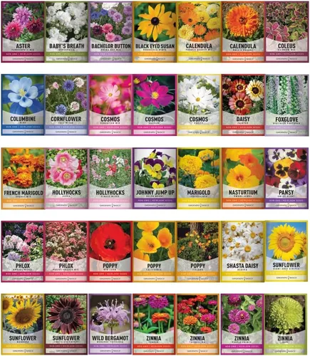 Vista 2 de Gardeners Basics, paquetes de semillas de flores para plantar 35 variedades individuales perennes, anuales, semillas de flores silvestres