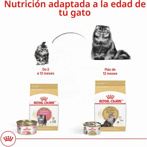 Vista 6 de Royal Canin Feline Breed Nutrition Persian Kitten Dry Cat Food, 3 lb Bag