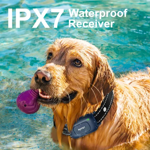 Vista 3 de PATPET Collar de entrenamiento para perros con control remoto, collar de choque impermeable IPX7 de 2000 pies, 4 modos