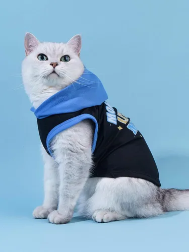 Vista 2 de QWINEE Camiseta sin mangas con capucha para perro con estampado de letras para gatos y cachorros, chaleco sin mangas para perro, ropa elástica