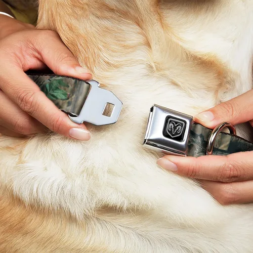 Vista 8 de Buckle-Down Collar de perro con hebilla de cinturón de seguridad, diseño de roble musgoso, infinito, 1 pulgada de ancho, se adapta a cuello de 9 a