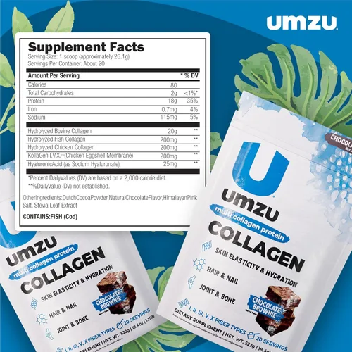 Vista 4 de UMZU zuCollagen - Polvo de proteína de colágeno múltiple, chocolate – 5 tipos de colágeno I II III V X – Suplemento alto en proteínas bajo