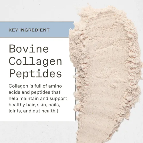 Vista 6 de Amy Myers MD Paleo Proteína en polvo – Fresas y crema, 20 porciones – Apoyo a la función intestinal a base de colágeno – Suplemento de proteína sin