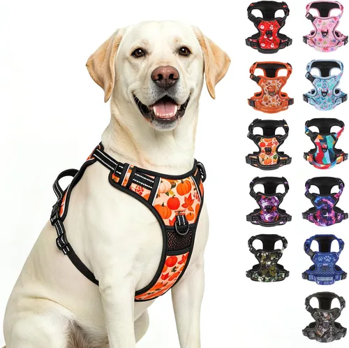 Vista 15 de BEAUTYZOO Juego de arnés y correa para perro sin tirones, chaleco para Verde militar