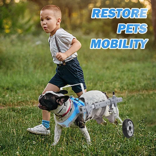 Vista 8 de Silla de ruedas para perros para patas traseras (M), nueva silla de ruedas ajustable para perro, ayuda a mascotas pequeñas con extremidades traseras