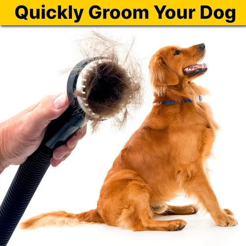 Vista 7 de Shop-Vac 9190400 Herramienta de aseo para perros, 1.25 pulgadas de diámetro, cerdas suaves para aseo y aspiración suaves de mascotas, (paquete de 1)