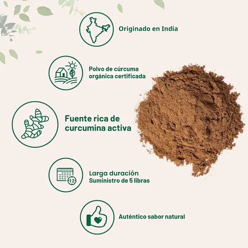 Vista 3 de Polvo de cúrcuma orgánica, 5 libras, rico en curcumina activa, suplemento de cúrcuma pura, apoyo antioxidante para la salud articular e