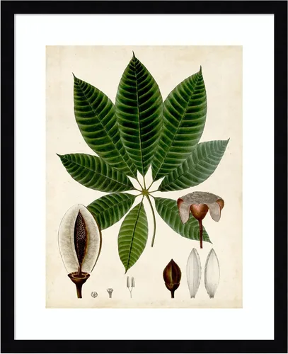 Vista 10 de Amanti Art Vision Studio - Lienzo decorativo para pared, 24 x 20 pulgadas, follaje verde VII por Vision Studio, arte de pared de naturaleza
