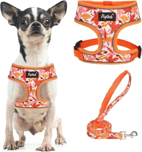 Vista 103 de PUPTECK Juego de arnés y correa de malla suave para perro, cachorro y gato, cómodo chaleco acolchado sin tirones, azul Pascua, S