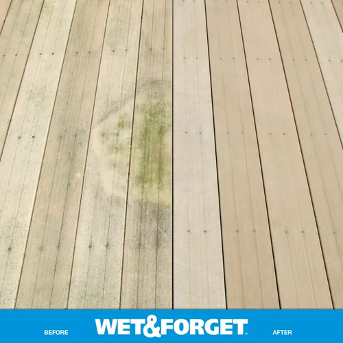 Vista 4 de Wet & Forget Molde de musgo para exteriores, removedor de manchas de hongos y algas, 2 x 0.75 galones