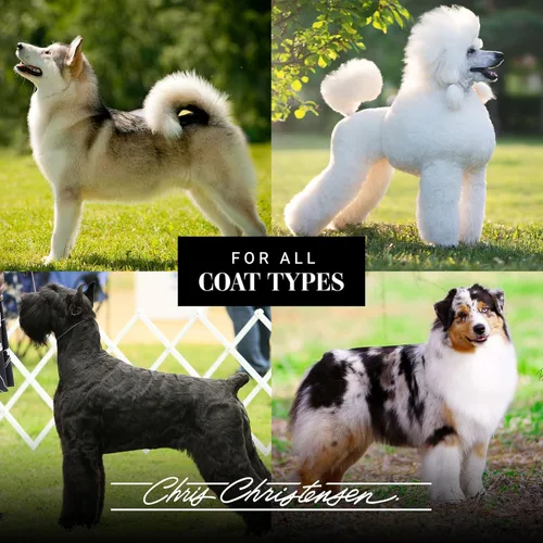 Vista 8 de Chris Christensen SmartWash50 - Champú para perros ultra concentrado blanqueador e iluminador, hace hasta 50 botellas, prepara como un profesional