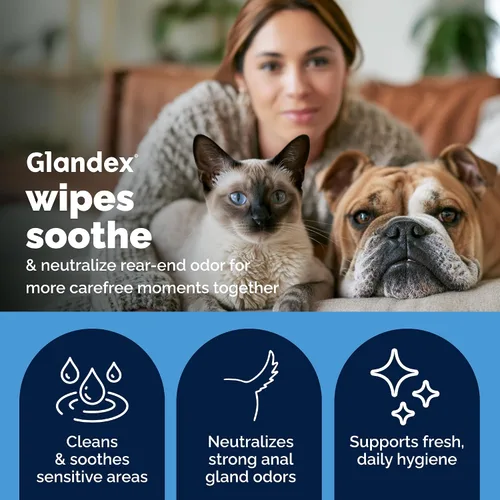 Vista 3 de Toallitas Vetnique Glandex para mascotas, limpieza y desodorización de glándulas anales. Toallitas higiénicas para perros y gatos con vitamina E